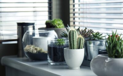 Créer un mur végétal pour ajouter des plantes à votre décoration intérieure